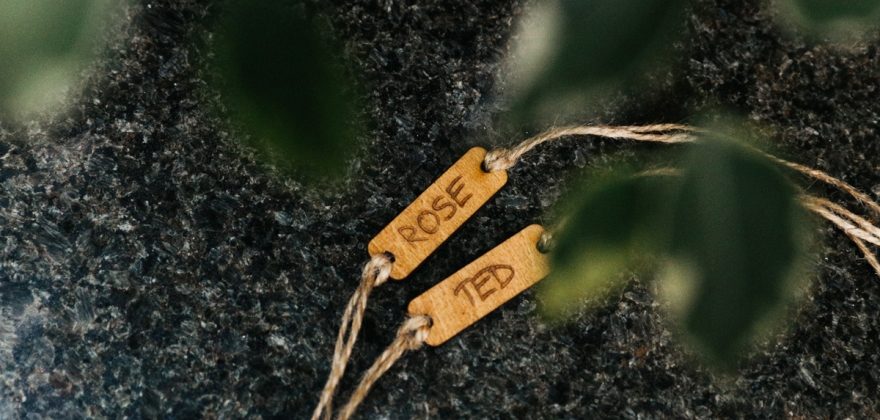 Ted & Rose ресторан "Familia" Ted & Rose ресторан "Familia"